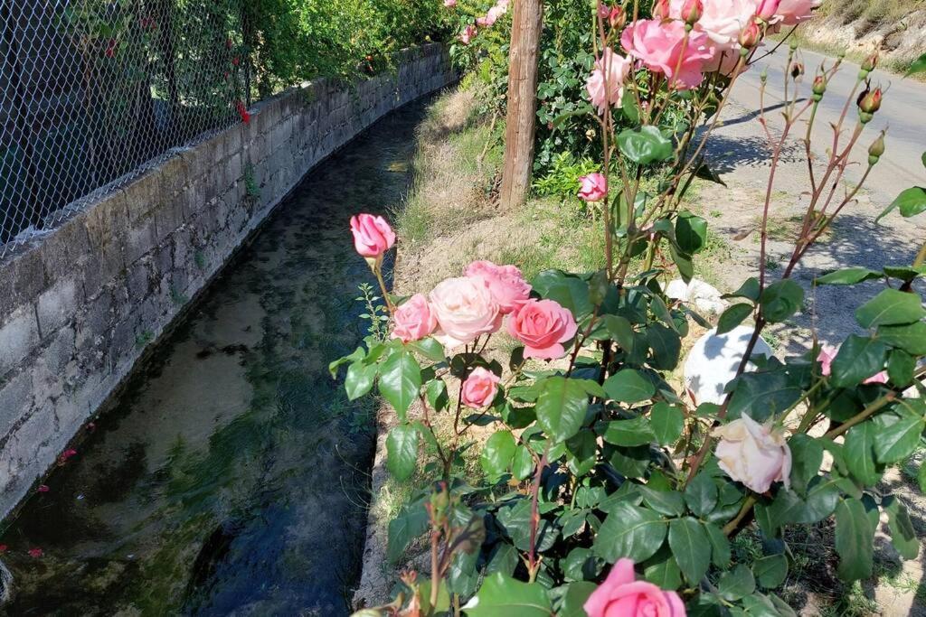 La Huerta Del Castillo Con Su Caz De Agua - Enjoy Life & Relax Castillo de Locubín Екстериор снимка